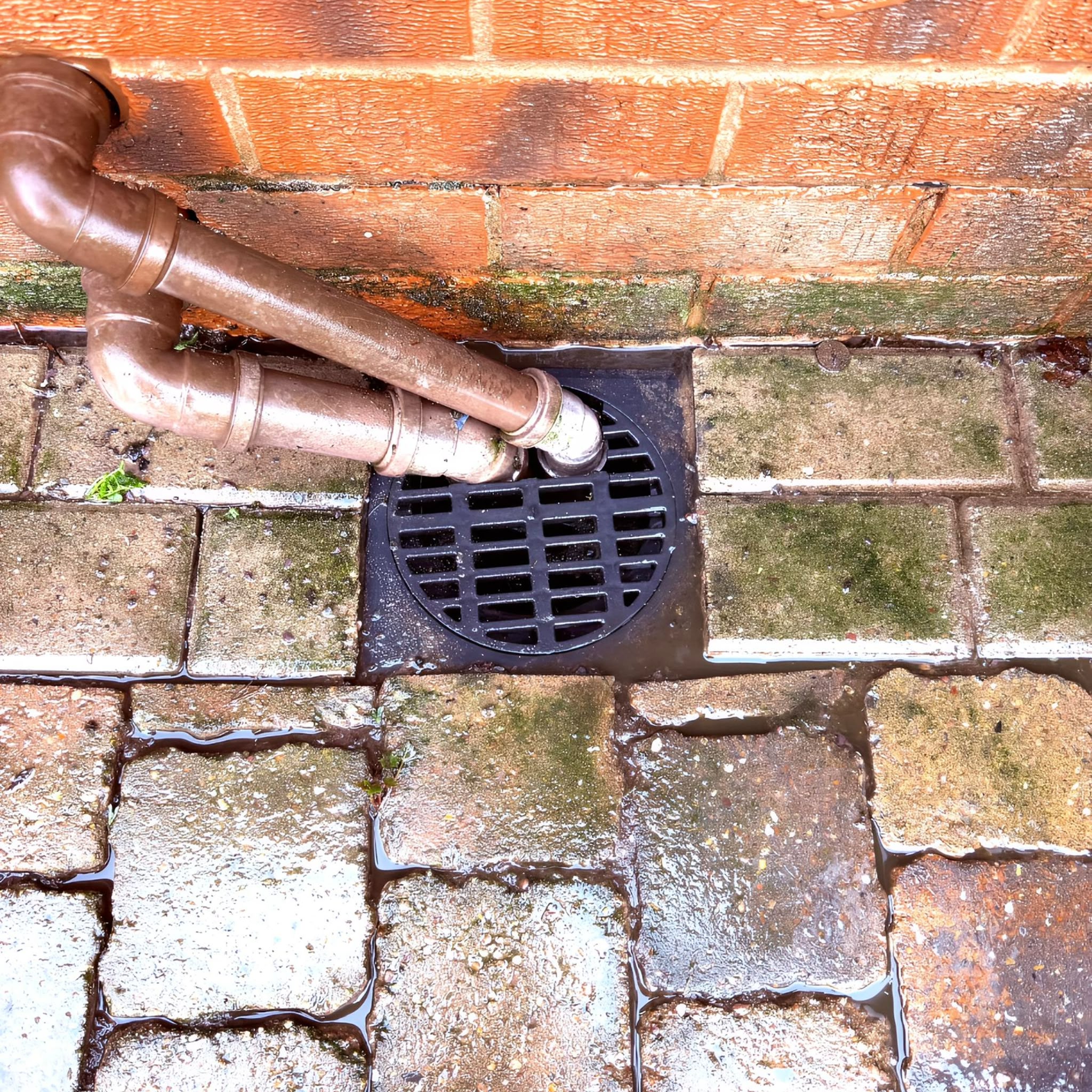 a cleaned drain