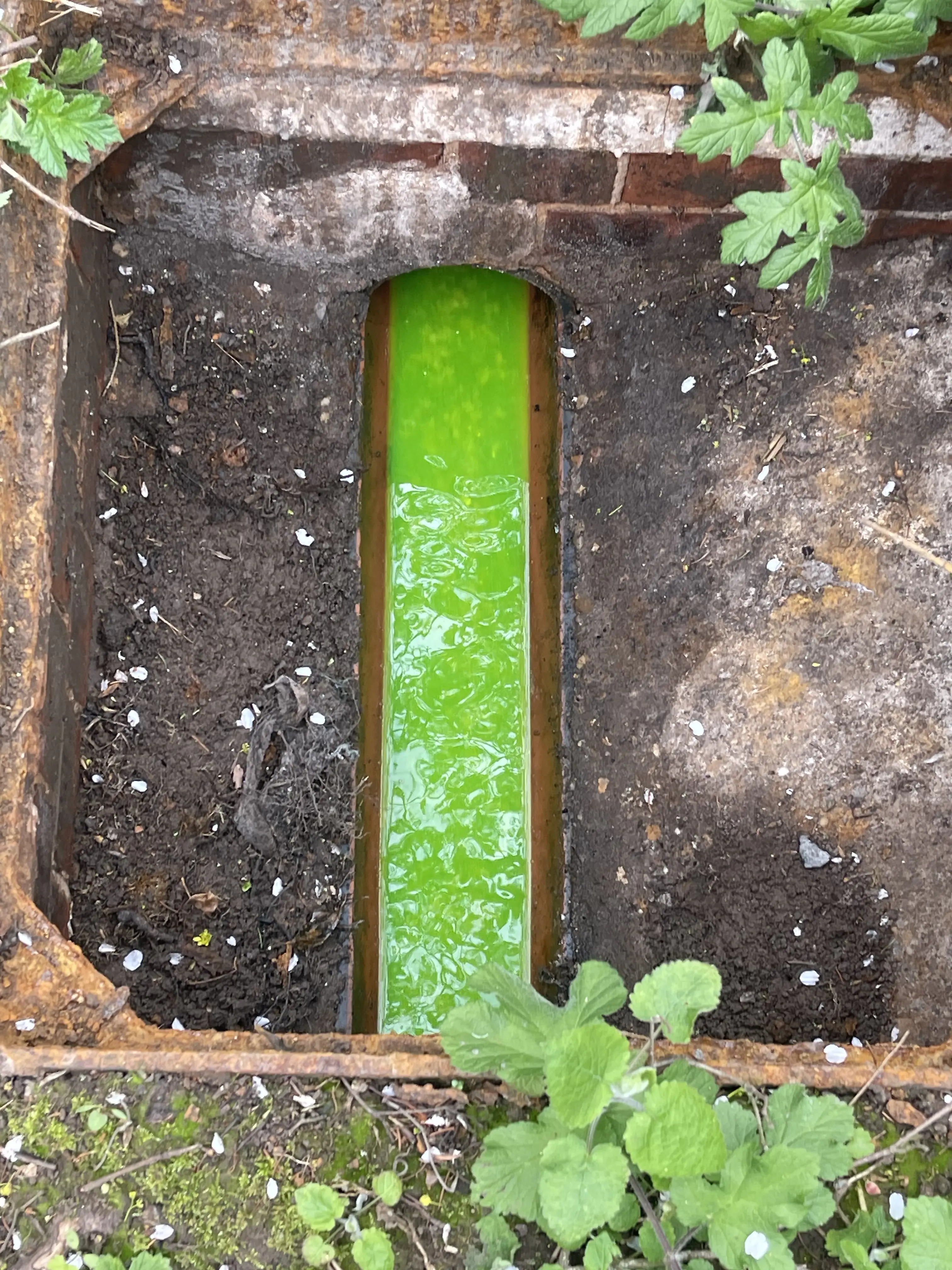 Cleaned drains with die